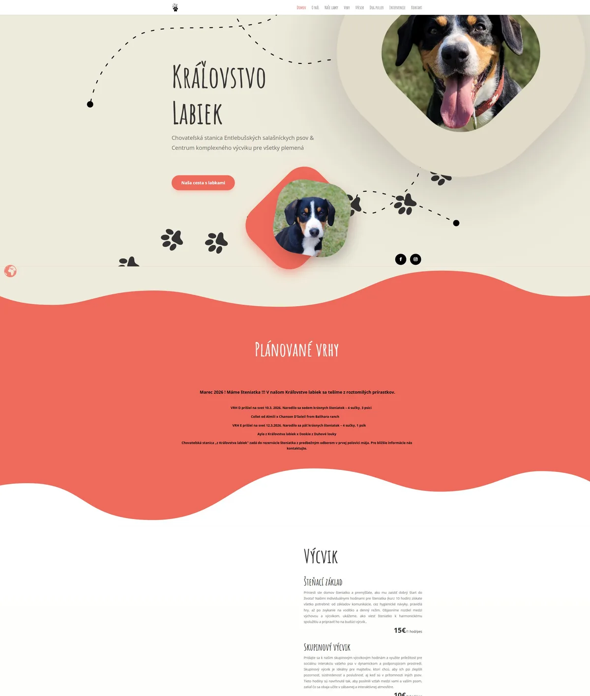Preview of the original website Kráľovstvo labiek