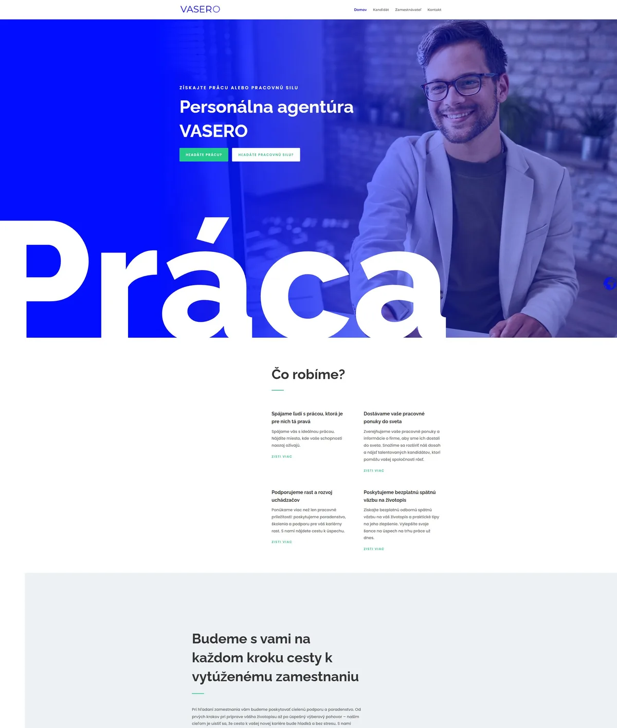 Preview of the original website VASERO